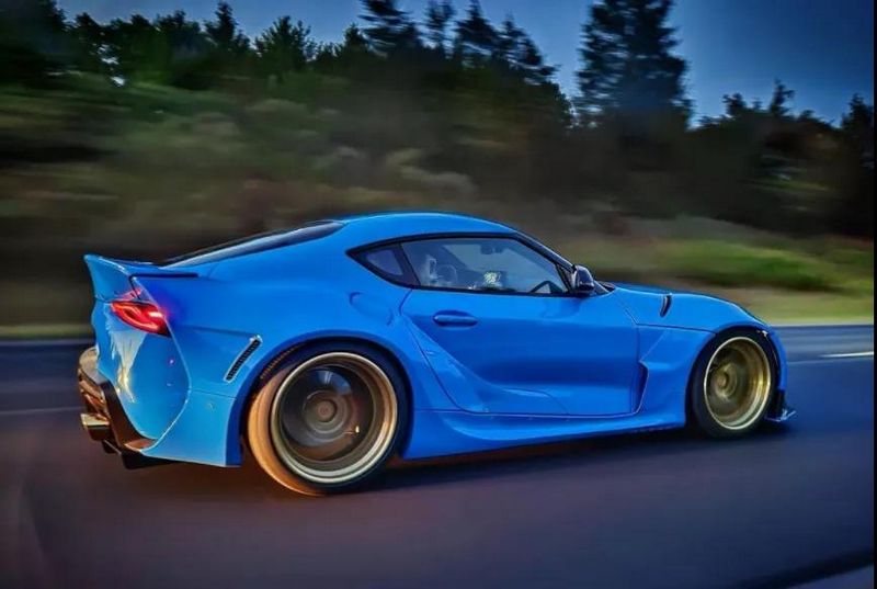 vossen 8.jpg